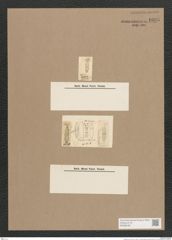 Navicula sp. (de-Toni-Nr.: Genus 1) Zeichnungen Sammlung Grunow Nr. 1635 (NHMW-BOT-W0368196)
